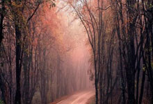 333体育：[西甲]马德里德比握手言和 银河战舰依旧领跑.