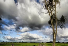 匈牙利选手夺世运会巡回赛(成都站)首金3-30 10:11.