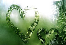 利物浦主帥克洛普宣布確認若塔受傷無緣本賽季比賽.